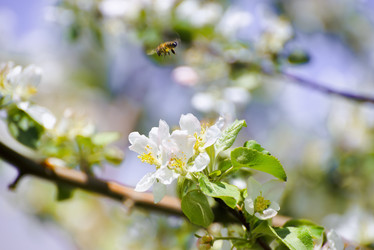 Similar image 13099321