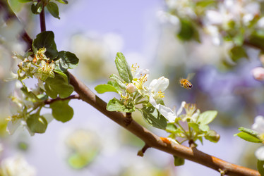 Similar image 13099370