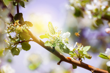 Similar image 13099371