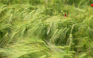 Similar image 13103043