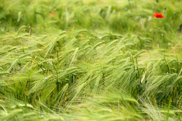 Similar image 13103044