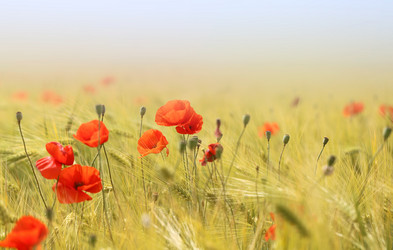 Similar image 13103045