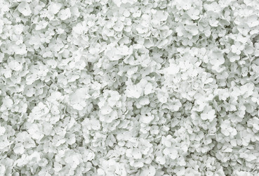 Similar image 13099373