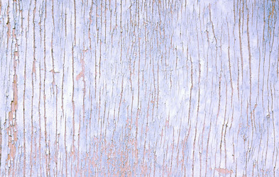 Similar image 13099376