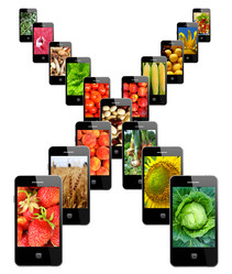 Similar image 13102881