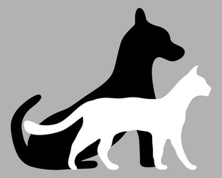 Similar image 13103606