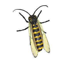 Similar image 13104256