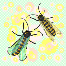 Similar image 13099062