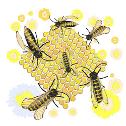 Similar image 13099064