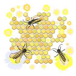 Similar image 13104177