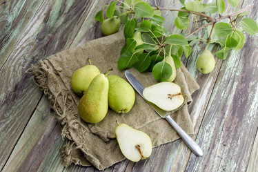 Similar image 13094839