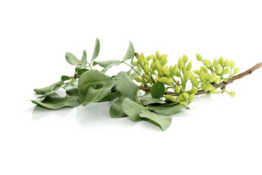 Similar image 13094841