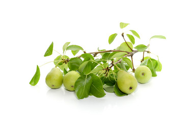 Similar image 13094842