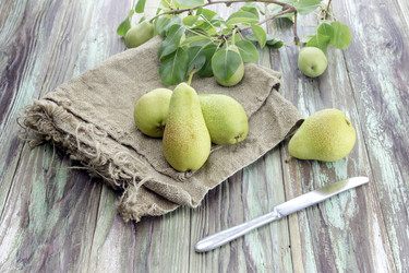 Similar image 13094843