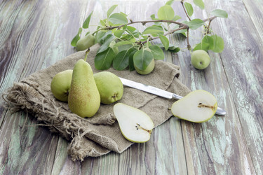 Similar image 13094844