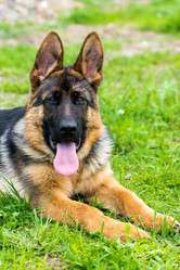 Similar image 13097333