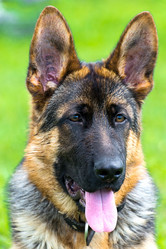 Similar image 13097336