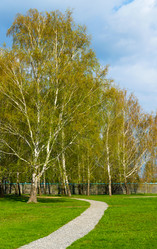 Similar image 13097337