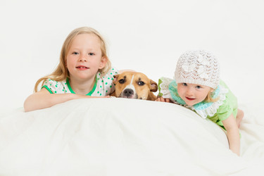 Similar image 13103908