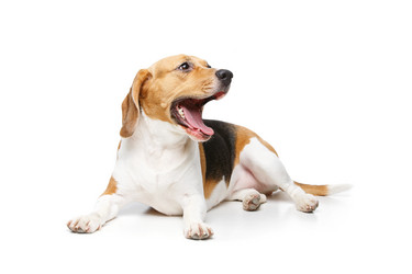 Similar image 13111970