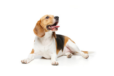 Similar image 13112129