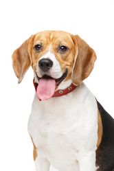 Similar image 13112130