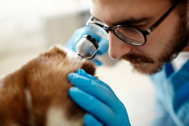 Similar image 13096815