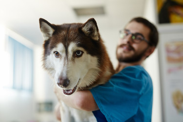 Similar image 13096830