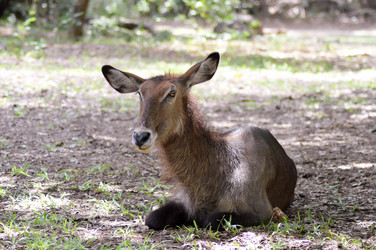 Similar image 13102873