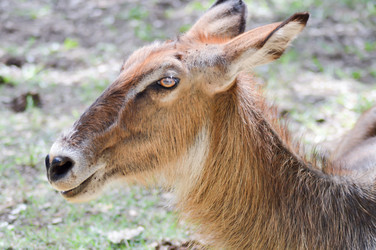 Similar image 13102874