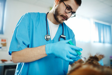 Similar image 13096775