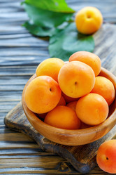 Similar image 13097813