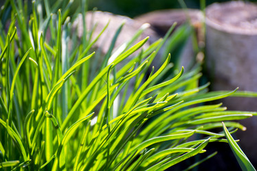 Similar image 13097342