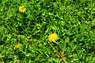 Similar image 13099458