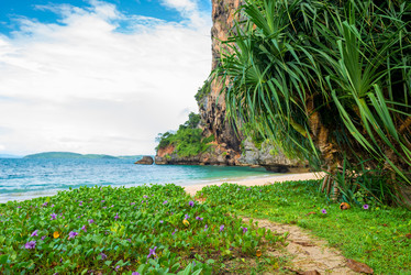 Similar image 13112452