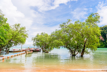 Similar image 13112458