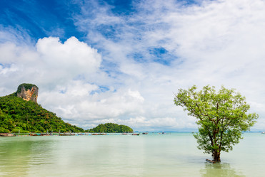 Similar image 13112463