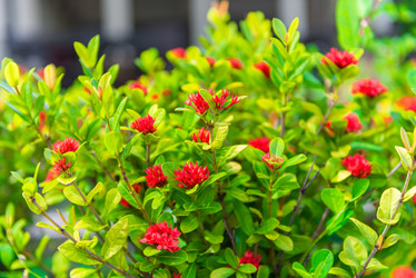 Similar image 13112465