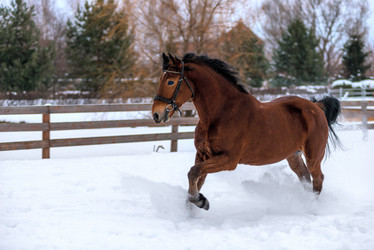 Similar image 13112416