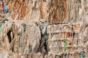 Similar image 13113068