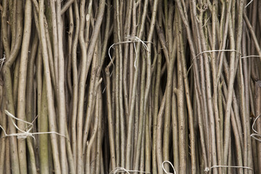 Similar image 13107510