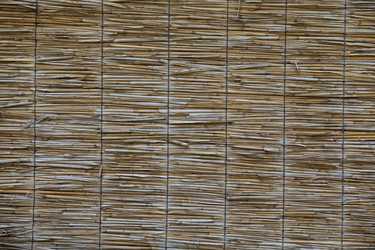 Similar image 13107511