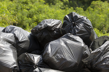 Similar image 13107514