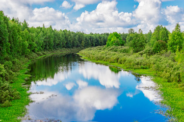 Similar image 13102946