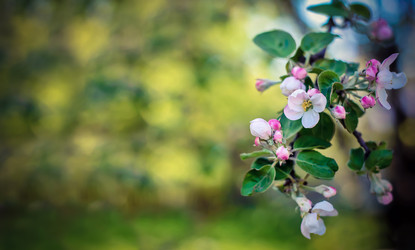 Similar image 13098255