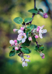 Similar image 13098256