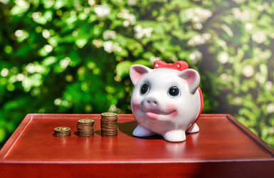 Similar image 13098257