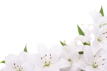 Similar image 13098244