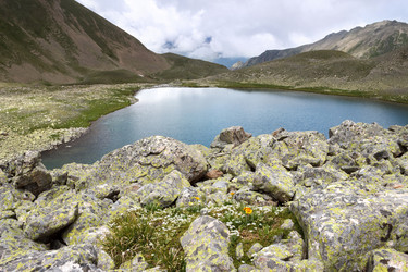 Similar image 13098247