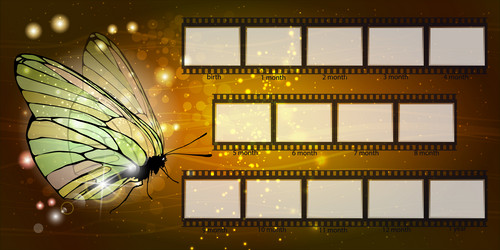 Similar image 13104312